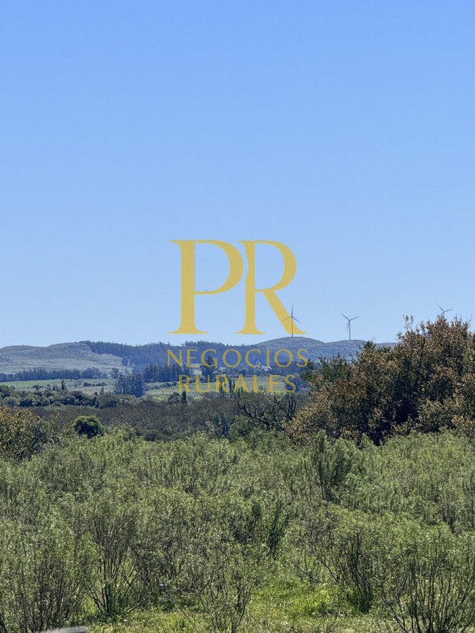 Campo Ref.2 - Campo en San Carlos, 