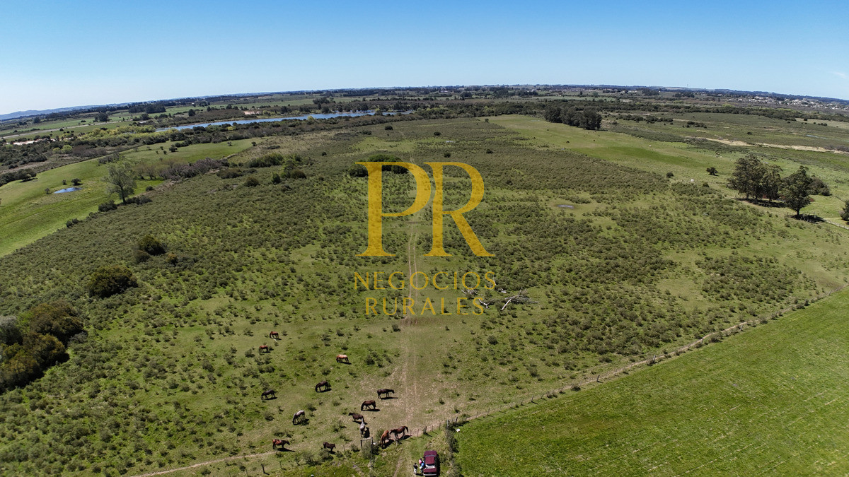 Campo Ref.2 - Campo en San Carlos, 