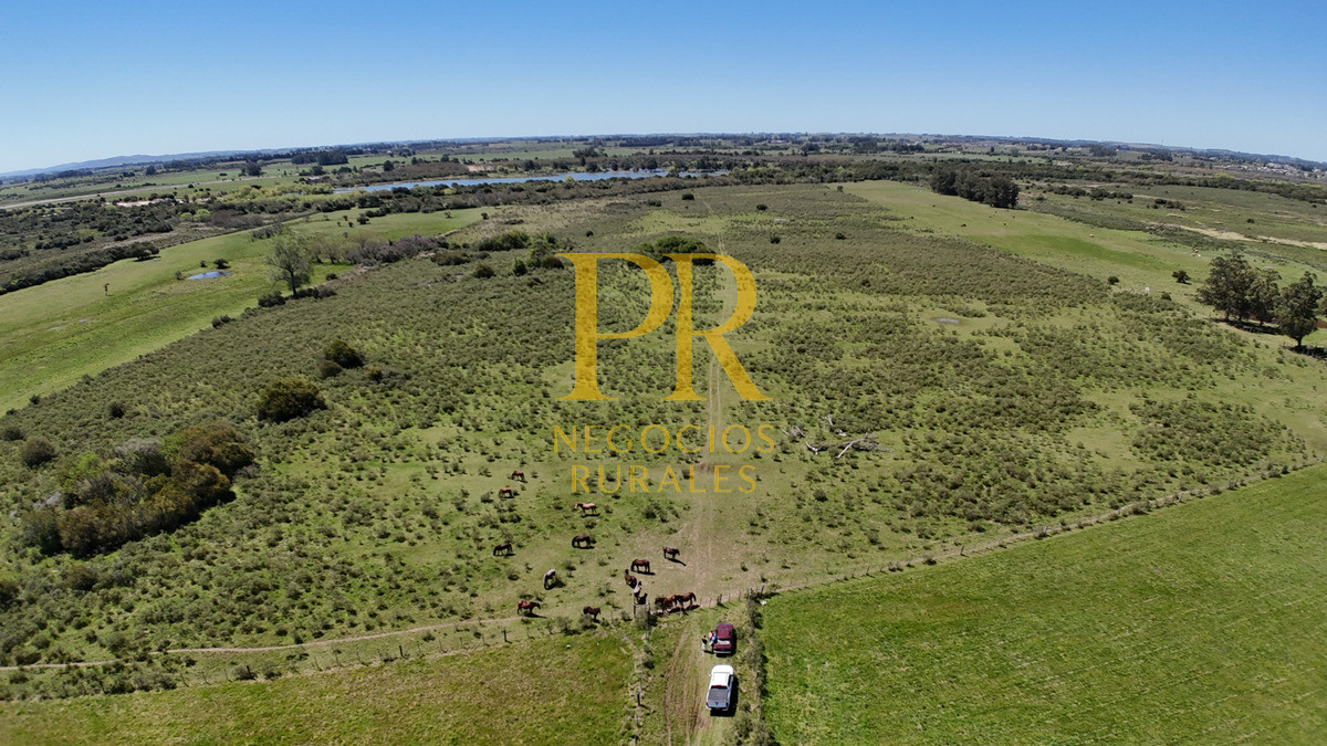 Campo Ref.2 - Campo en San Carlos, 