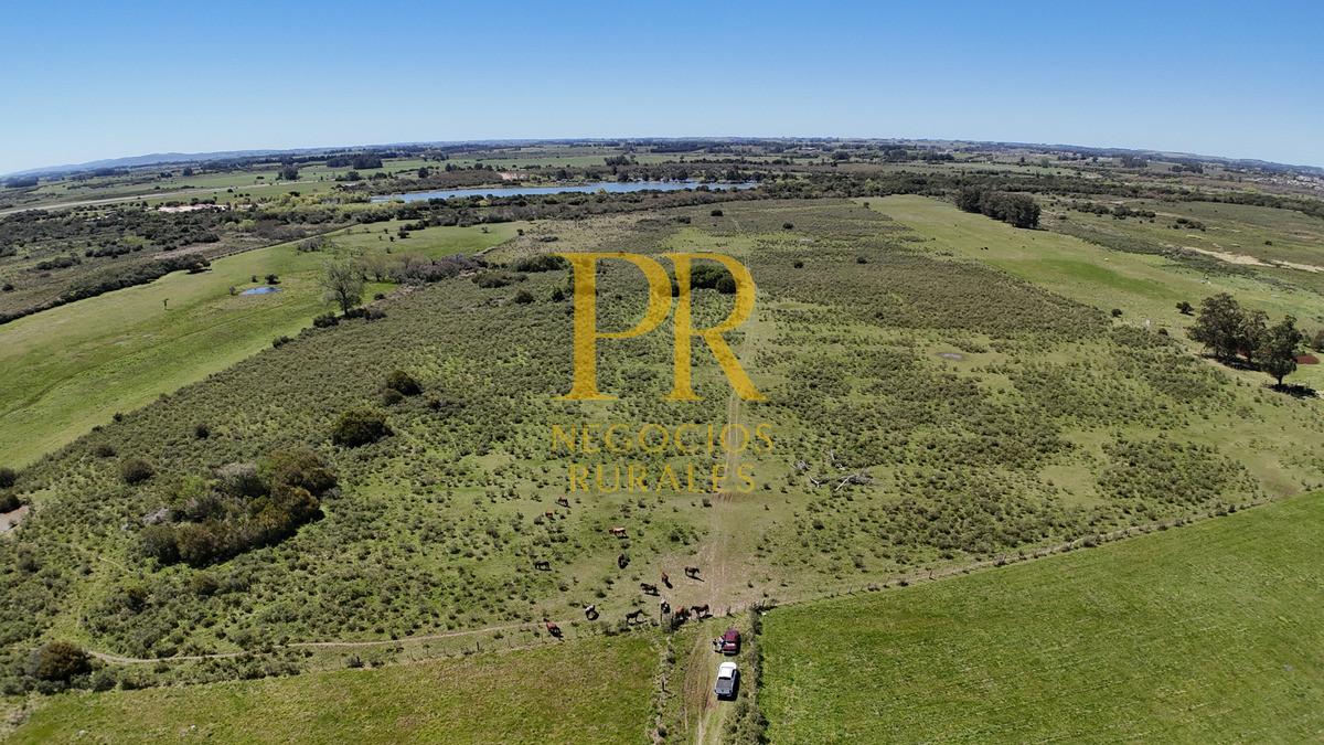 Campo Ref.2 - Campo en San Carlos, 