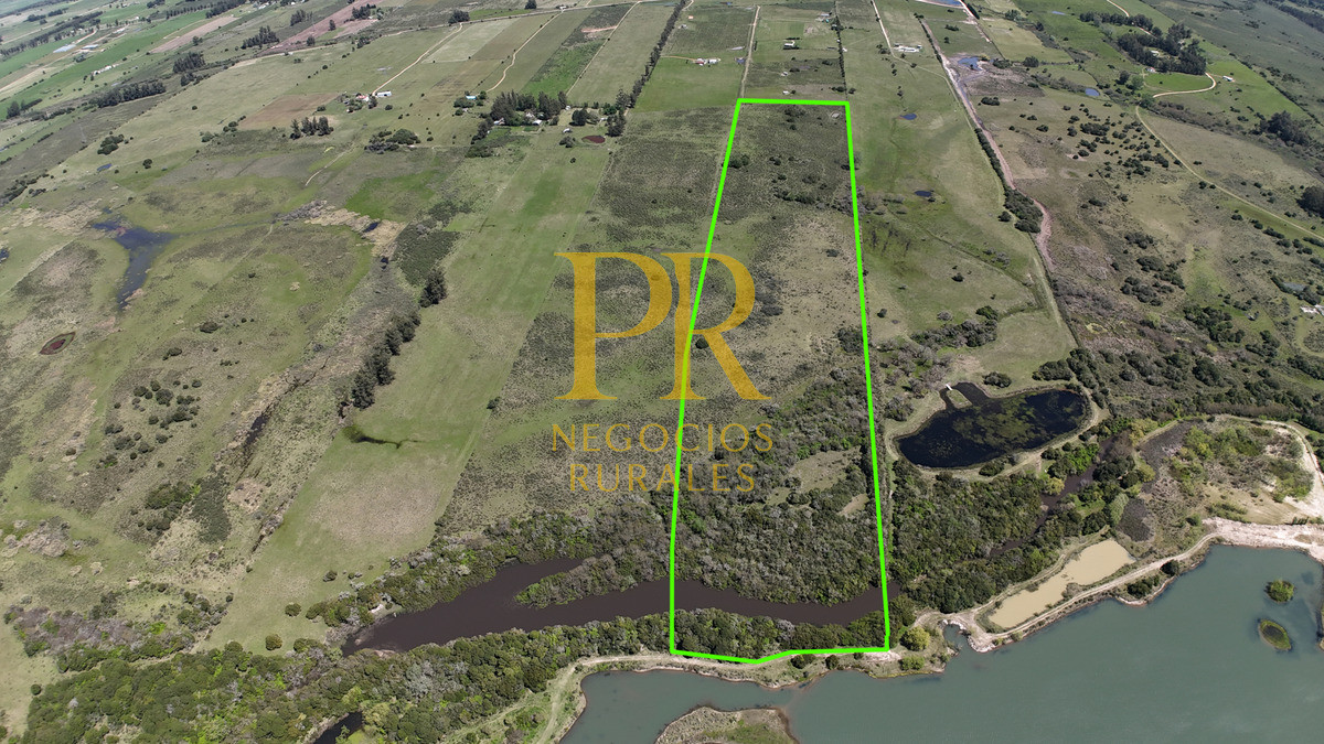 Campo Ref.2 - Campo en San Carlos, 