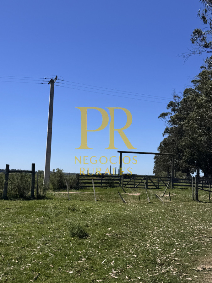 Campo Ref.2 - Campo en San Carlos, 