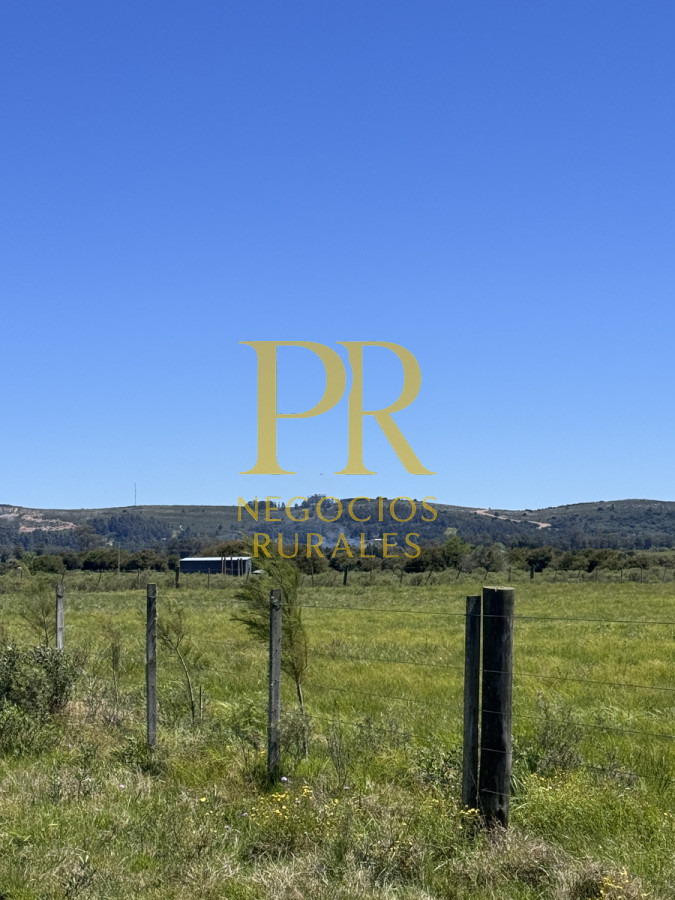 Campo Ref.2 - Campo en San Carlos, 