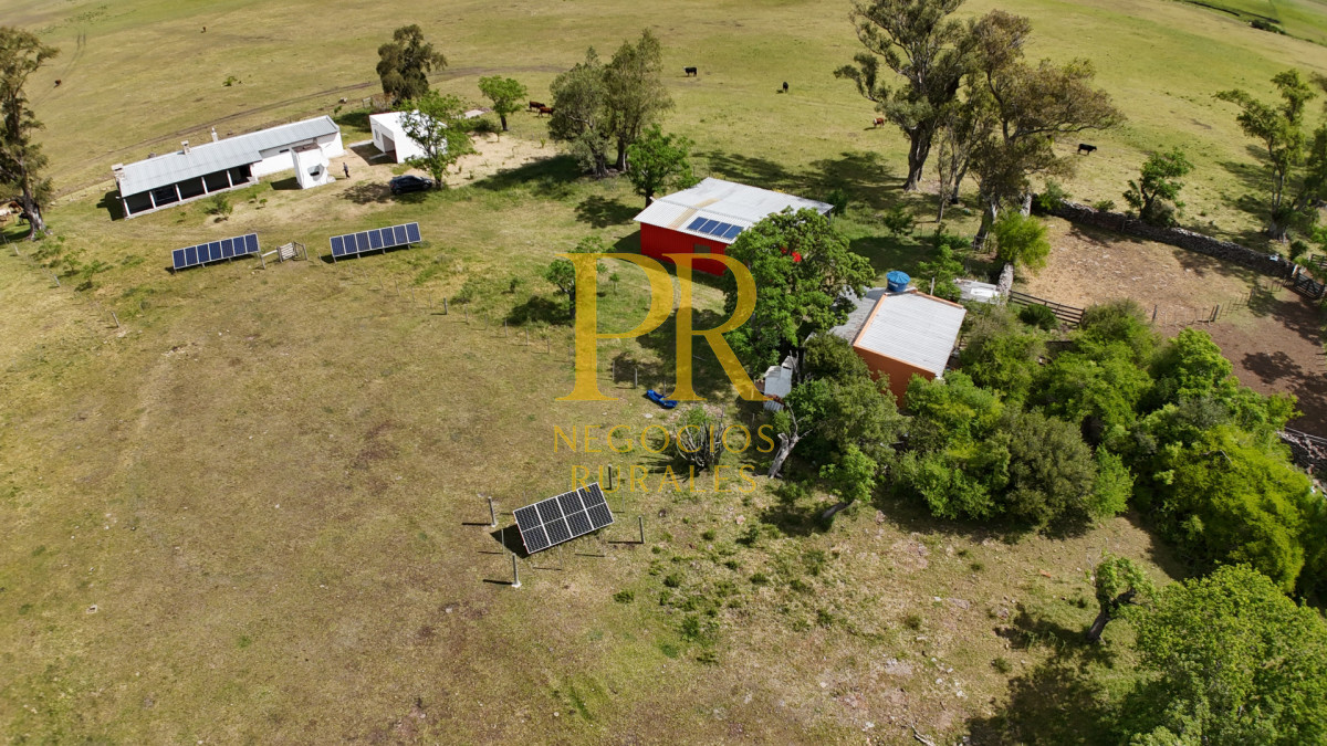 Campo Ref.26 - Campo Salto 550 hectáreas