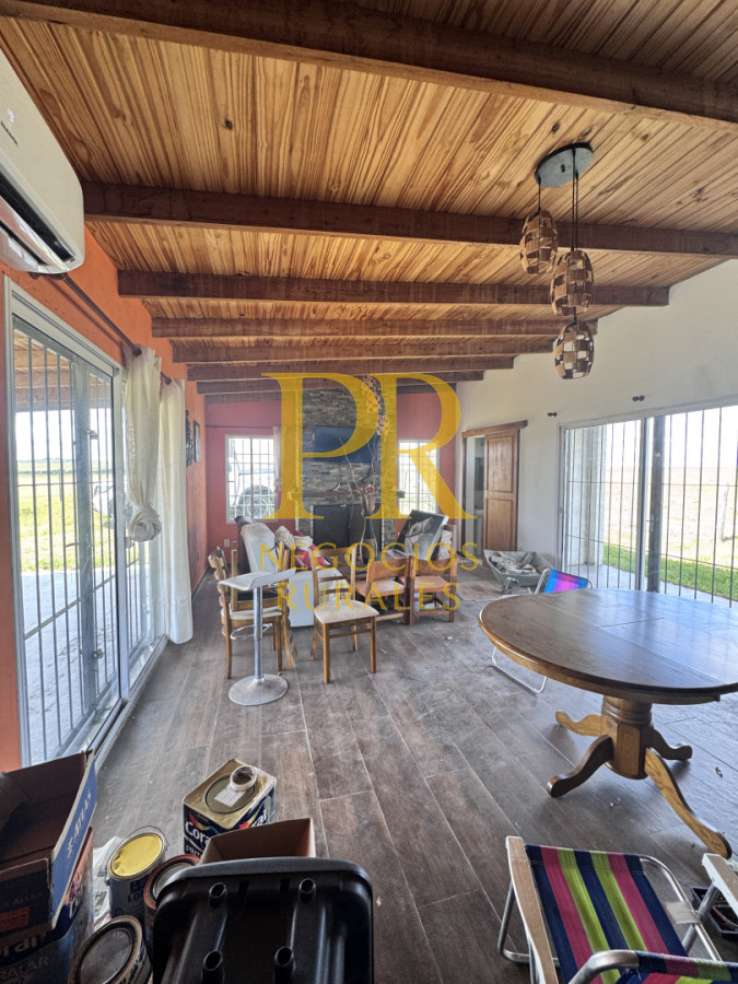 Campo Ref.26 - Campo Salto 550 hectáreas