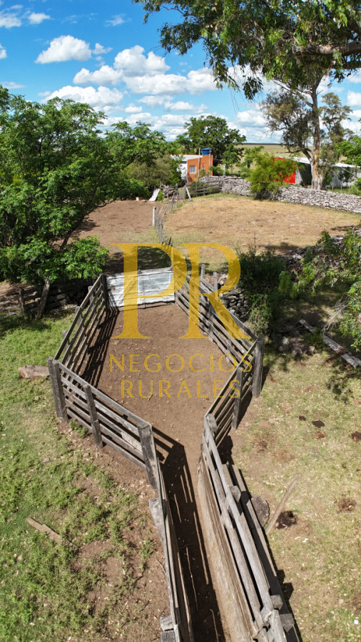 Campo Ref.26 - Campo Salto 550 hectáreas