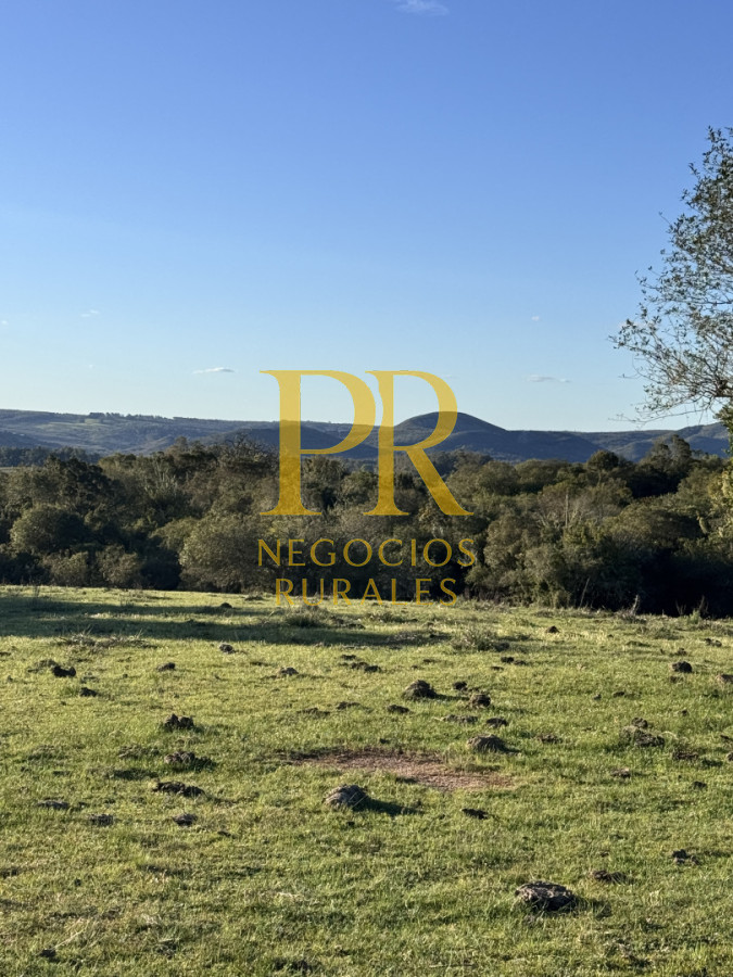 Campo Ref.24 - Chacra 8 hectáreas próximo Villa Serrana