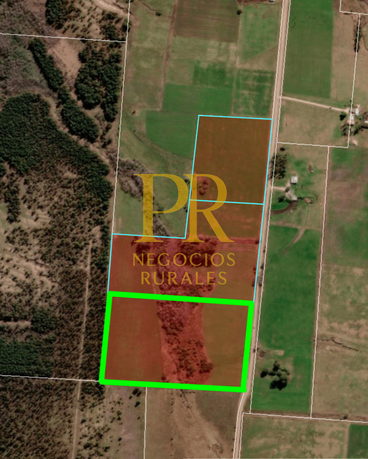 Campo Ref.8 - Chacras en Tala, acceso por Ruta 12, 2 km por camino vecinal.