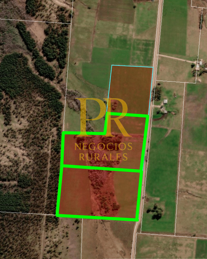 Campo Ref.8 - Chacras en Tala, acceso por Ruta 12, 2 km por camino vecinal.