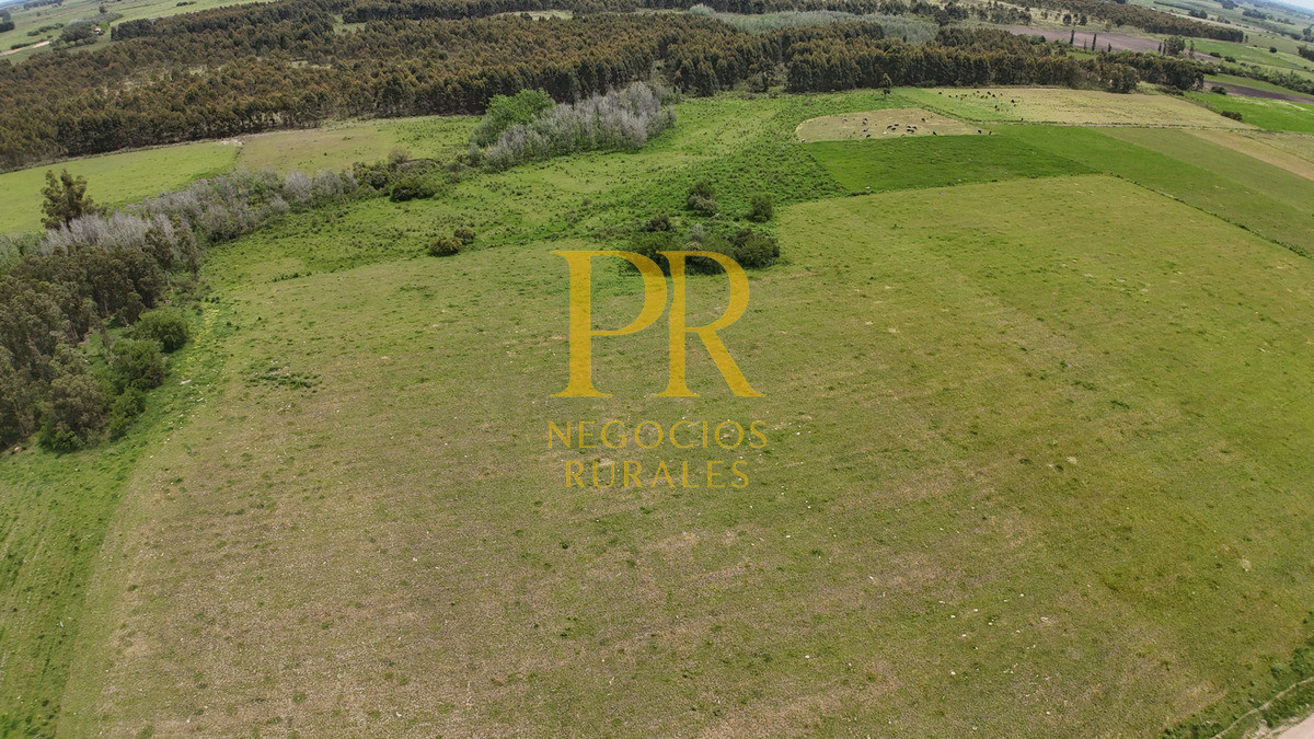 Campo Ref.8 - Chacras en Tala, acceso por Ruta 12, 2 km por camino vecinal.