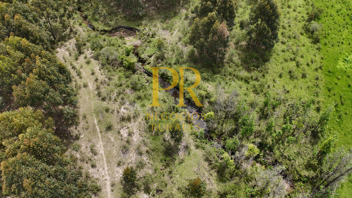 Campo Ref.8 - Chacras en Tala, acceso por Ruta 12, 2 km por camino vecinal.