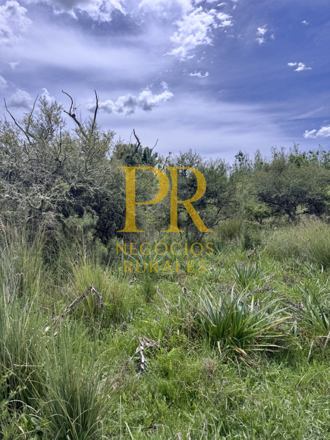 Campo Ref.8 - Chacras en Tala, acceso por Ruta 12, 2 km por camino vecinal.