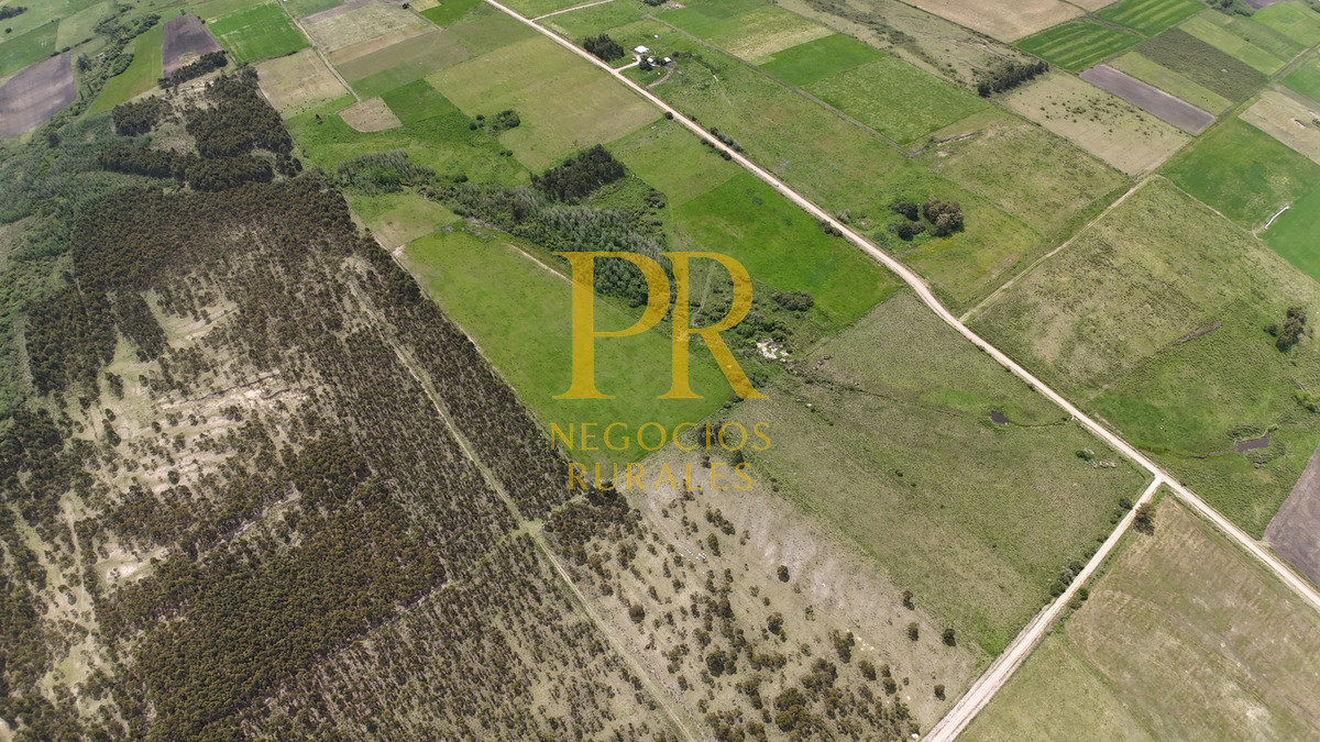 Campo Ref.8 - Chacras en Tala, acceso por Ruta 12, 2 km por camino vecinal.