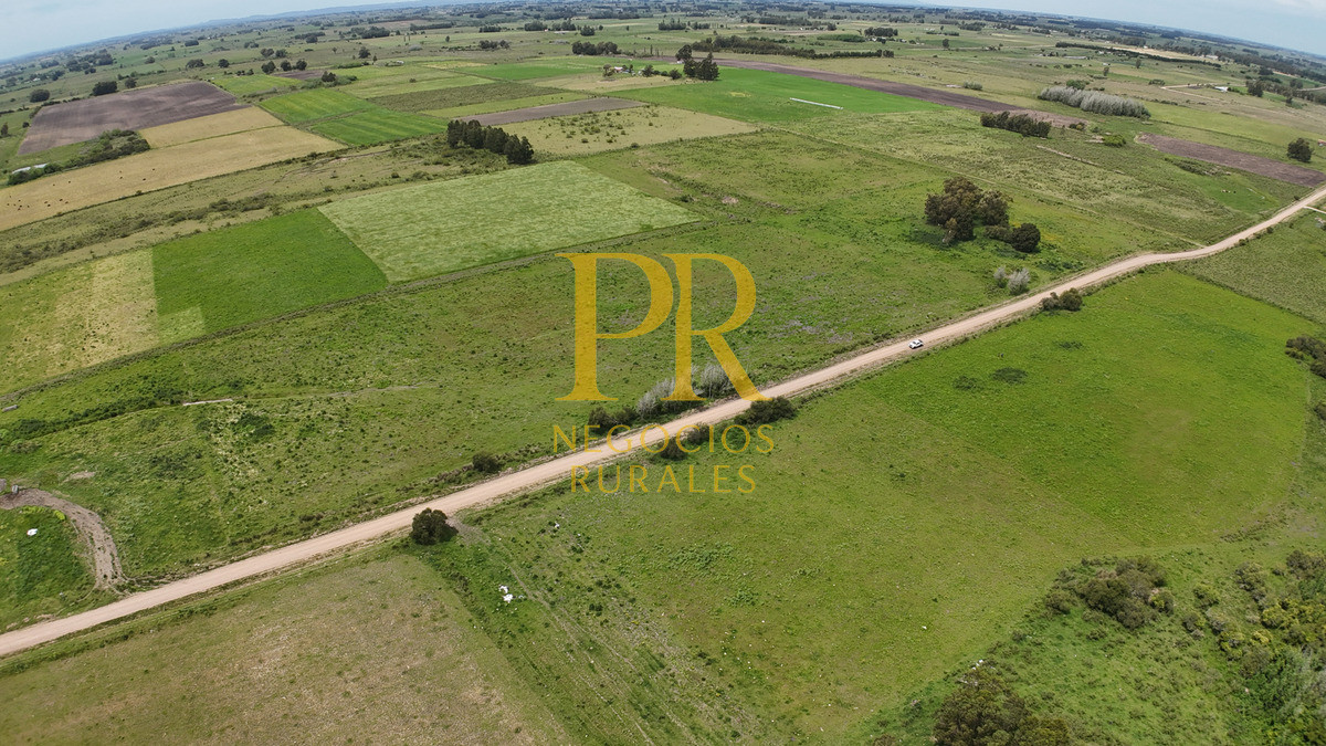 Campo Ref.8 - Chacras en Tala, acceso por Ruta 12, 2 km por camino vecinal.