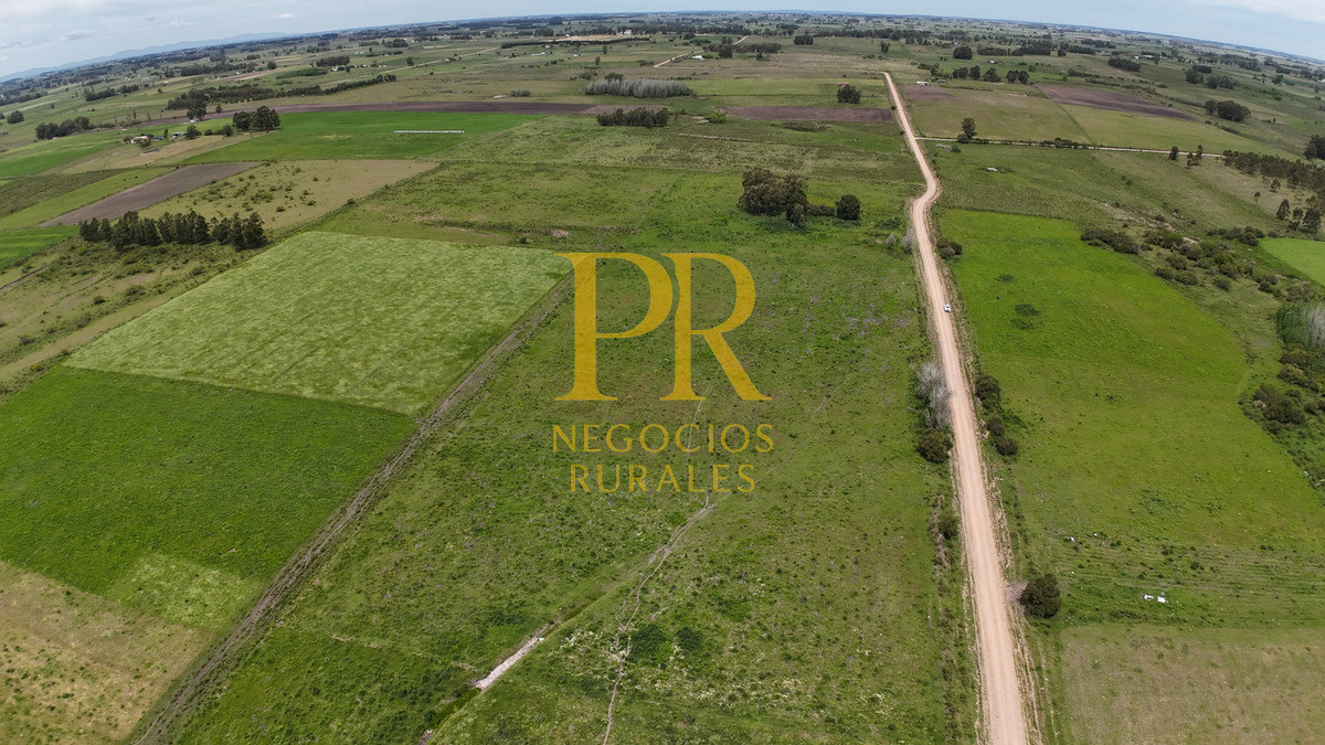 Campo Ref.8 - Chacras en Tala, acceso por Ruta 12, 2 km por camino vecinal.