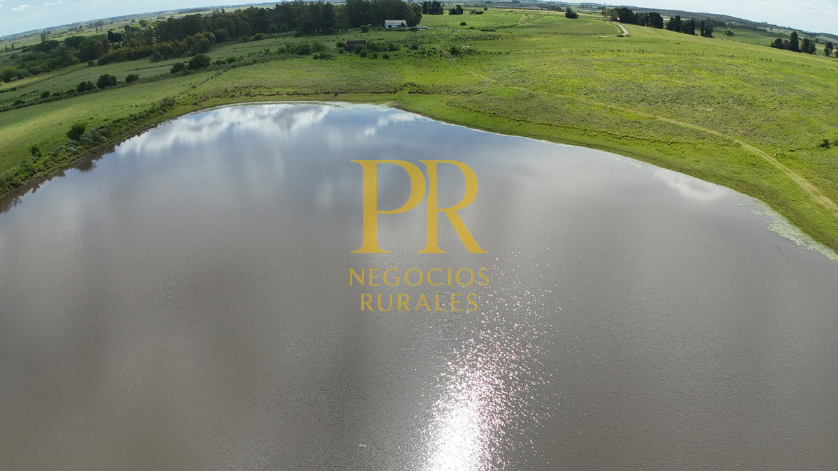 Campo Ref.9 - Campo próximo a Migues 129 hectáreas.