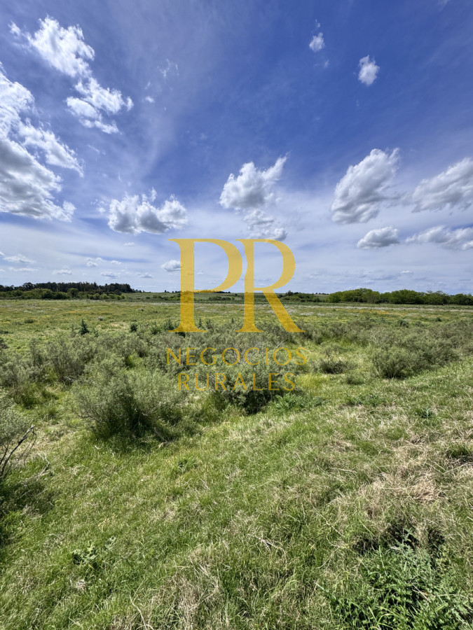 Campo Ref.9 - Campo próximo a Migues 129 hectáreas.