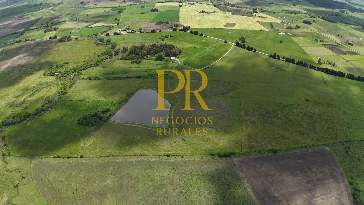 Campo Ref.9 - Campo próximo a Migues 129 hectáreas.