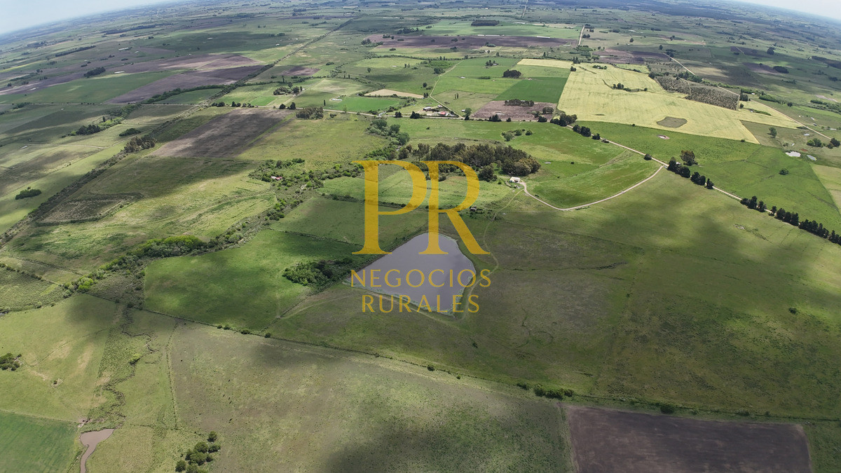 Campo Ref.9 - Campo próximo a Migues 129 hectáreas.