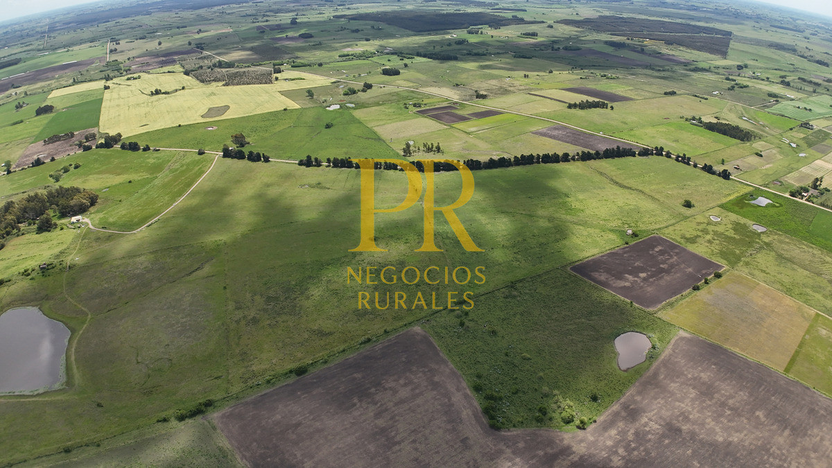 Campo Ref.9 - Campo próximo a Migues 129 hectáreas.