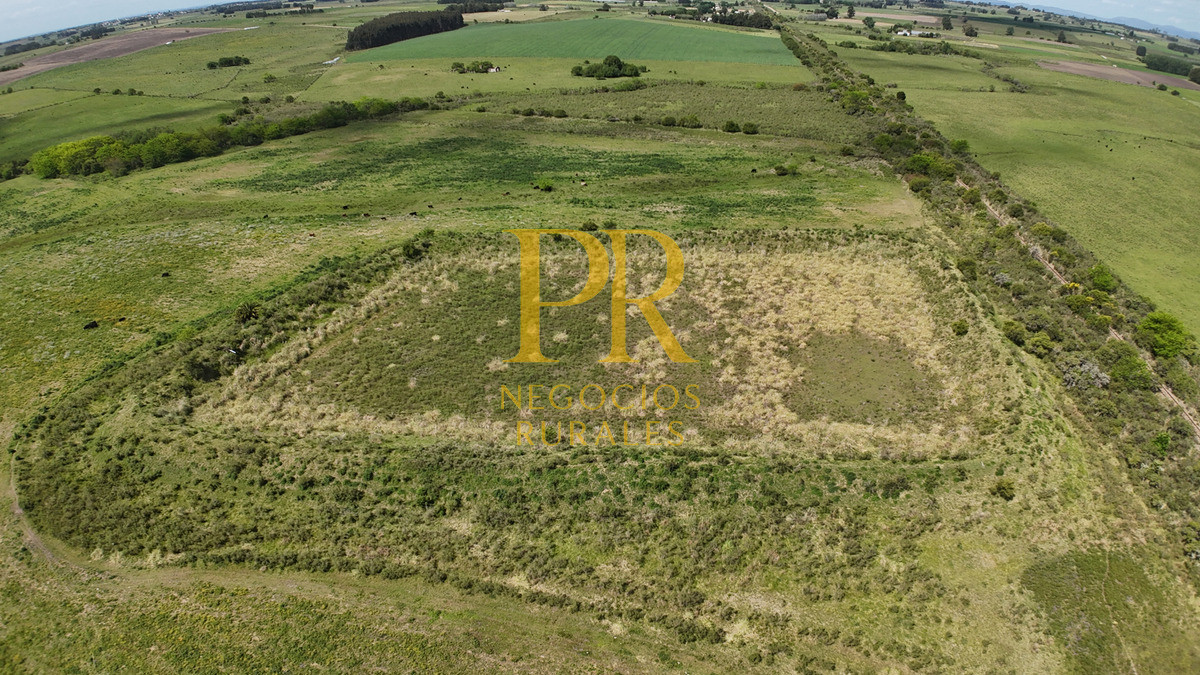 Campo Ref.9 - Campo próximo a Migues 129 hectáreas.