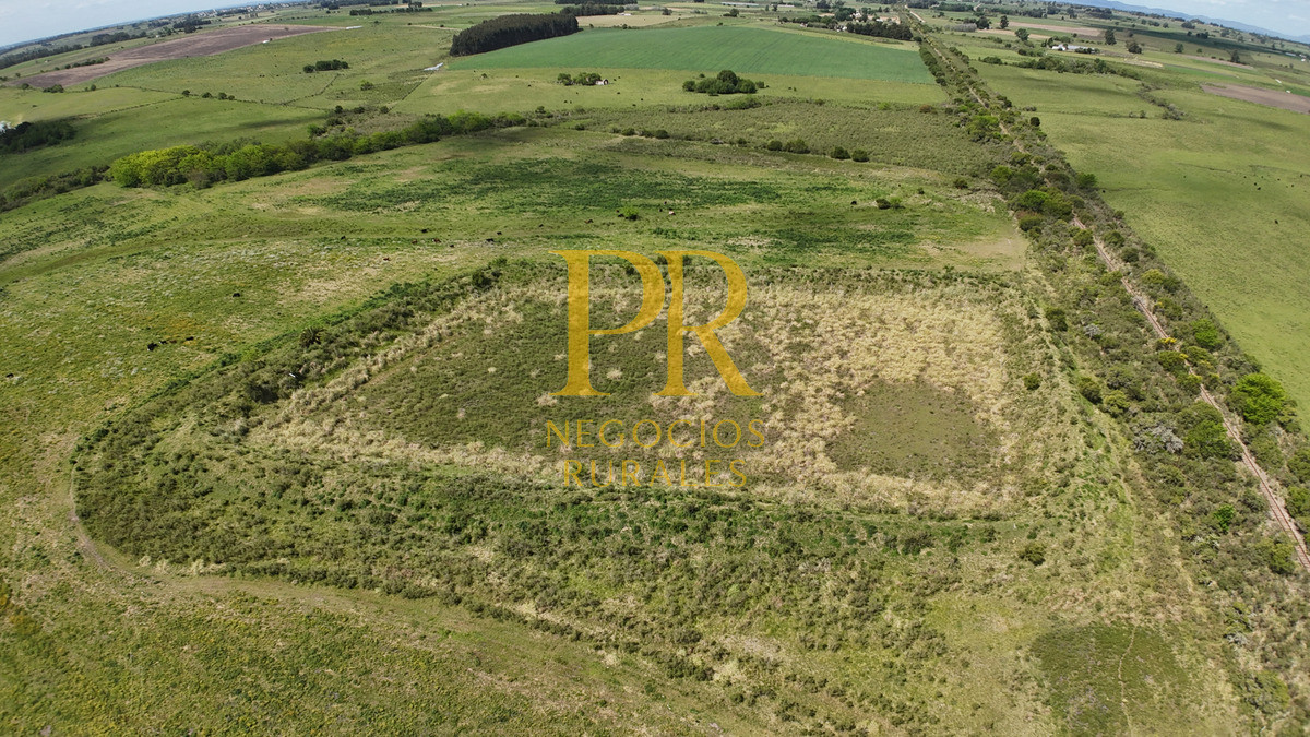 Campo Ref.9 - Campo próximo a Migues 129 hectáreas.