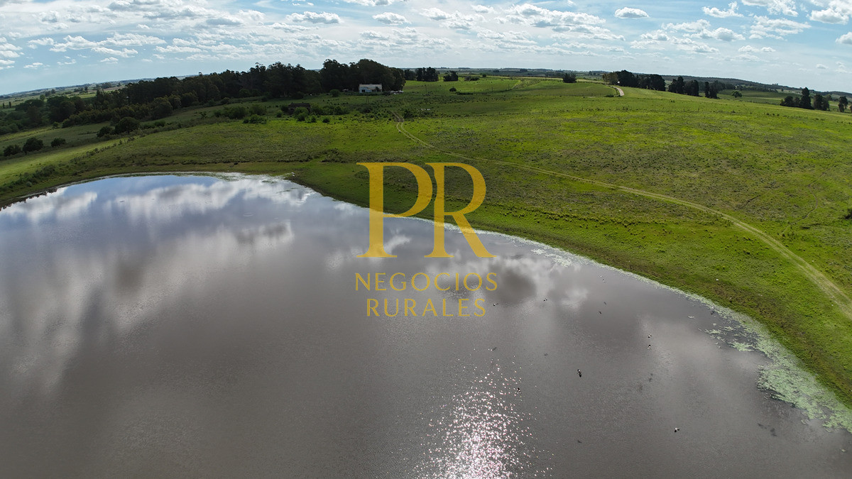 Campo Ref.9 - Campo próximo a Migues 129 hectáreas.