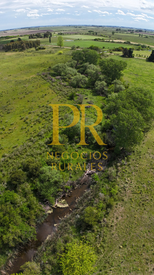 Campo Ref.9 - Campo próximo a Migues 129 hectáreas.