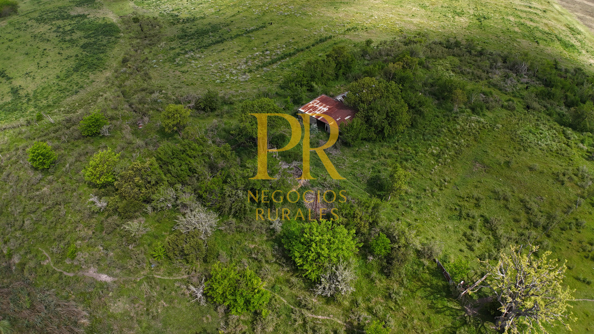 Campo Ref.9 - Campo próximo a Migues 129 hectáreas.