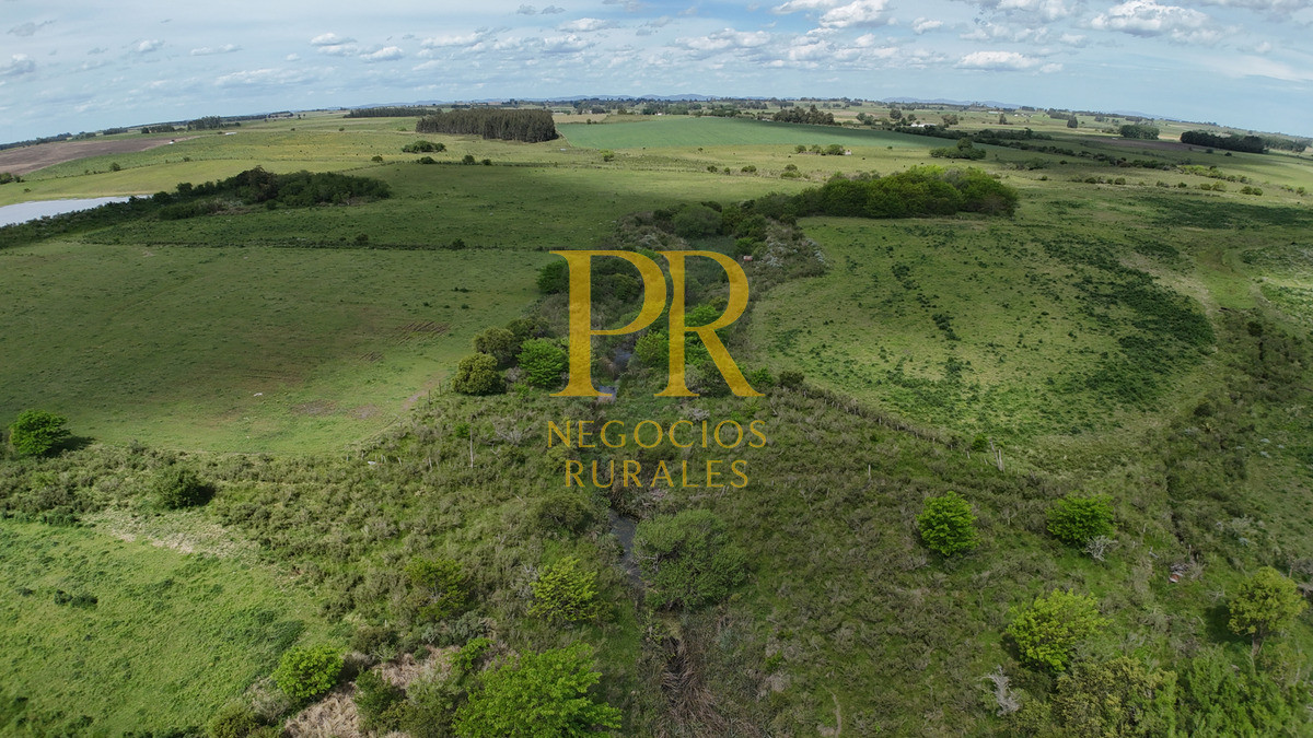 Campo Ref.9 - Campo próximo a Migues 129 hectáreas.