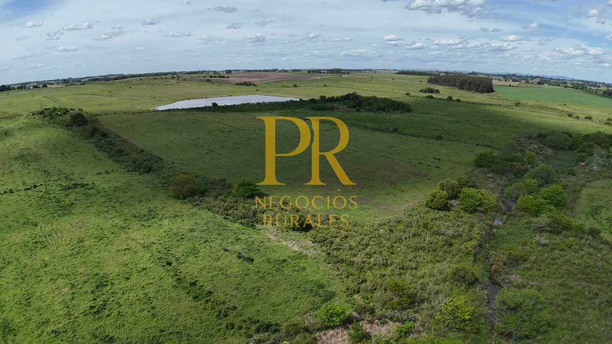 Campo Ref.9 - Campo próximo a Migues 129 hectáreas.