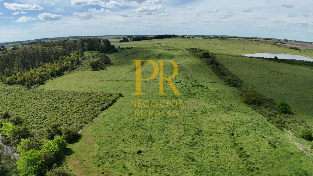 Campo Ref.9 - Campo próximo a Migues 129 hectáreas.