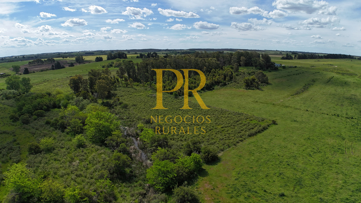 Campo Ref.9 - Campo próximo a Migues 129 hectáreas.