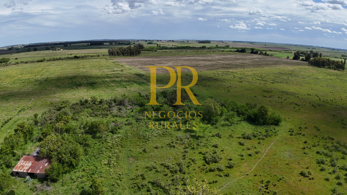 Campo Ref.9 - Campo próximo a Migues 129 hectáreas.