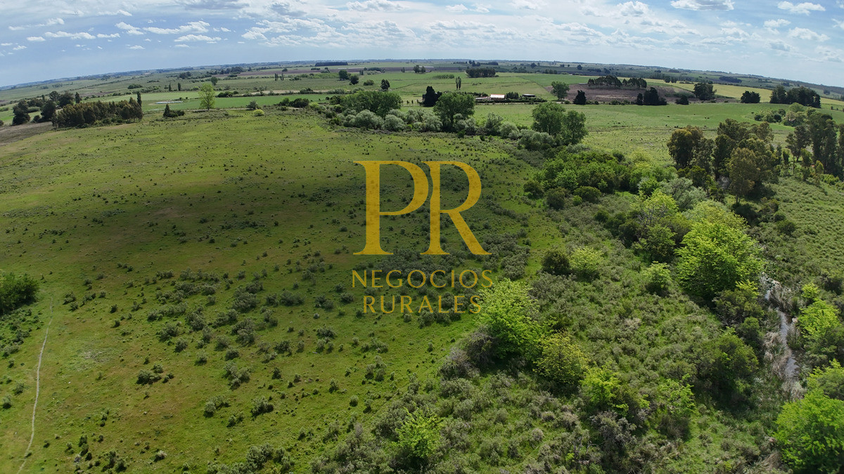 Campo Ref.9 - Campo próximo a Migues 129 hectáreas.