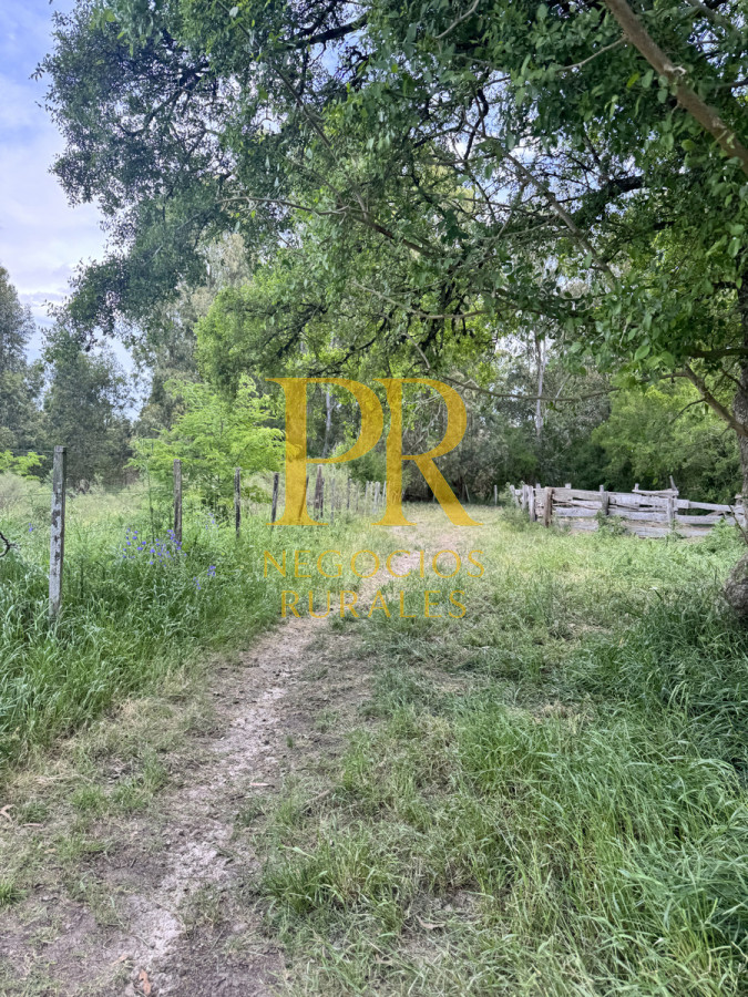 Campo Ref.9 - Campo próximo a Migues 129 hectáreas.