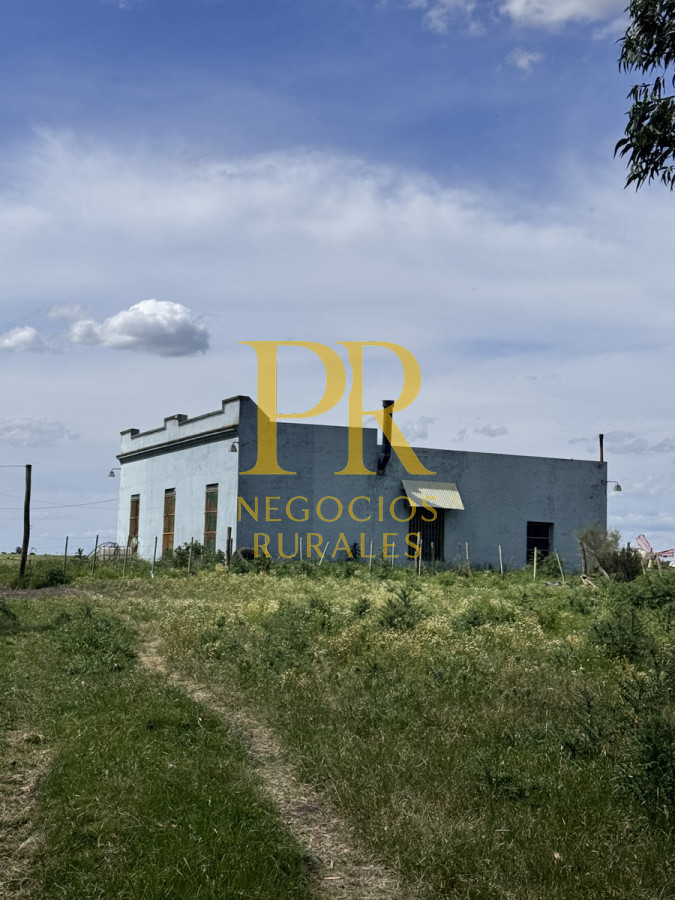 Campo Ref.9 - Campo próximo a Migues 129 hectáreas.