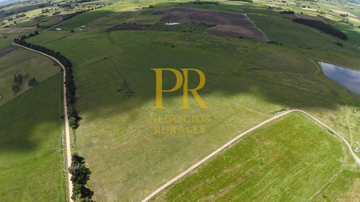 Campo Ref.9 - Campo próximo a Migues 129 hectáreas.