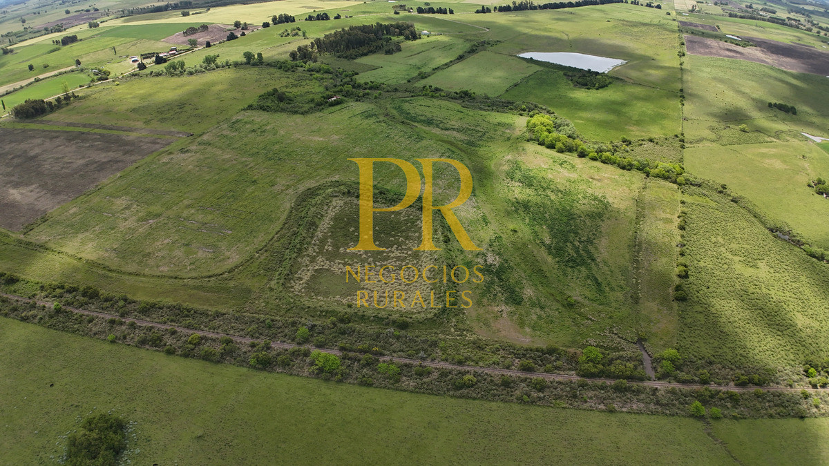 Campo Ref.9 - Campo próximo a Migues 129 hectáreas.