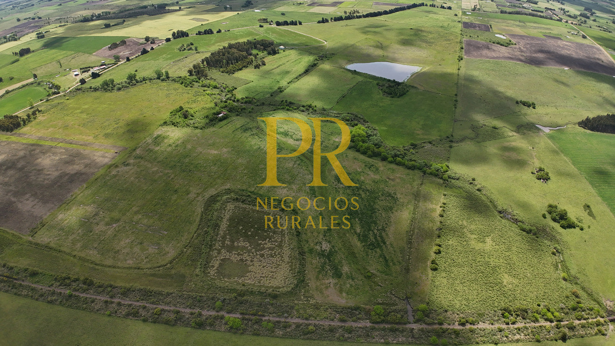 Campo Ref.9 - Campo próximo a Migues 129 hectáreas.