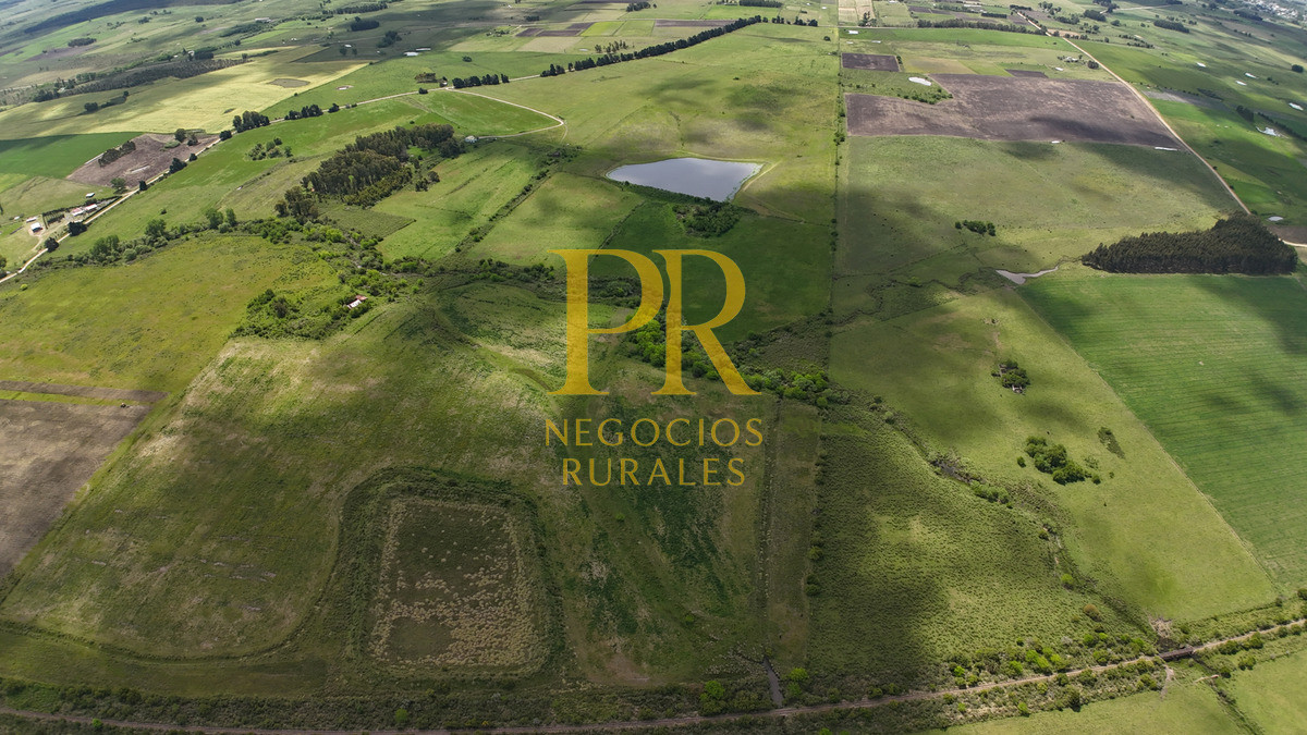 Campo Ref.9 - Campo próximo a Migues 129 hectáreas.