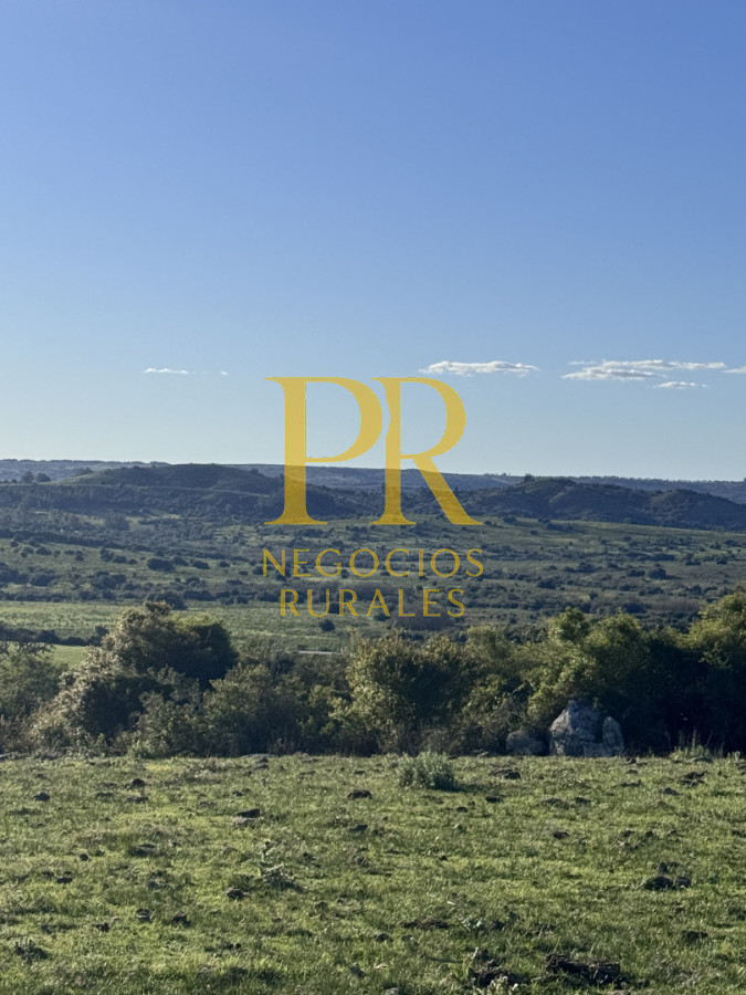 Campo Ref.24 - Chacra 8 hectáreas próximo Villa Serrana