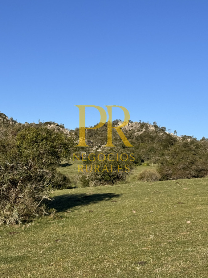 Campo Ref.24 - Chacra 8 hectáreas próximo Villa Serrana