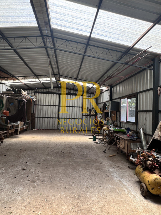 Campo Ref.26 - Campo Salto 550 hectáreas