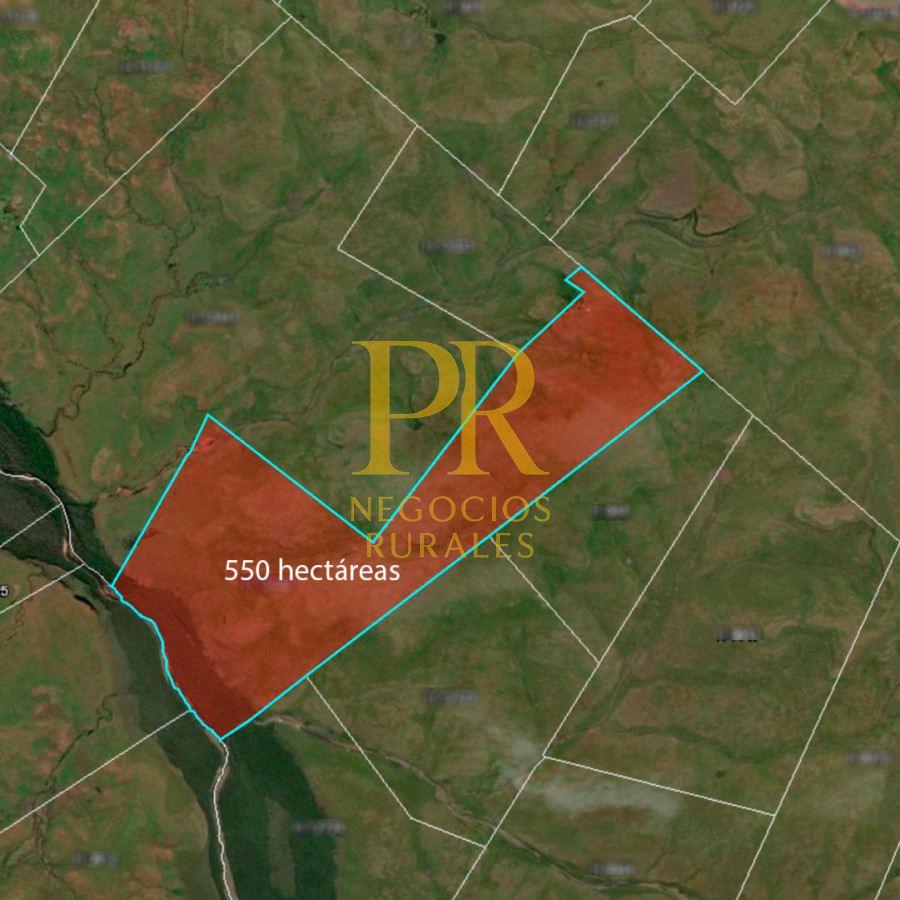 Campo Ref.26 - Campo Salto 550 hectáreas