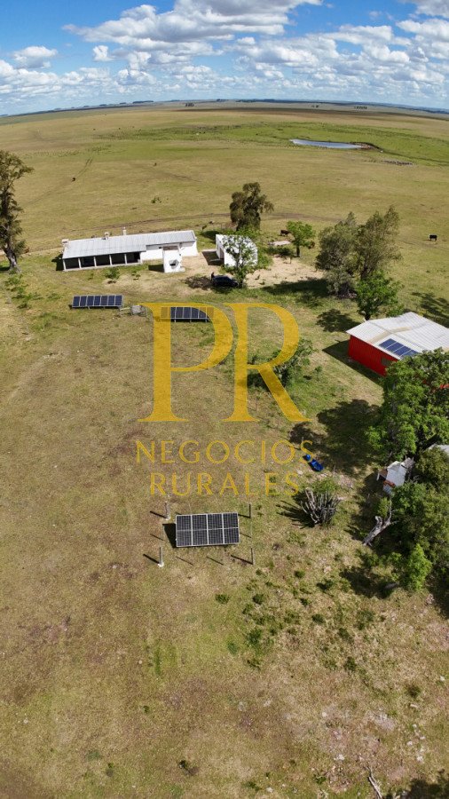 Campo Ref.26 - Campo Salto 550 hectáreas