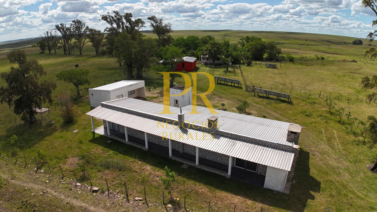 Campo Ref.26 - Campo Salto 550 hectáreas