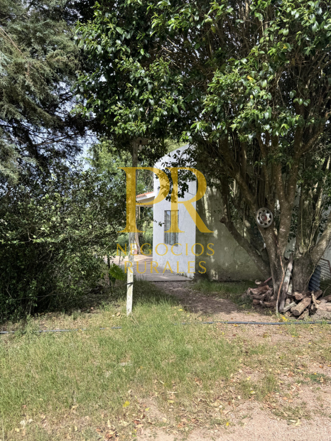 Campo Ref.28 - Campo en San Ramón - Tambo Completo - Casa + Galpones