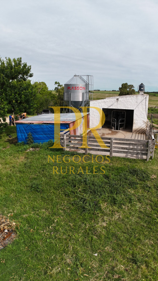 Campo Ref.28 - Campo en San Ramón - Tambo Completo - Casa + Galpones