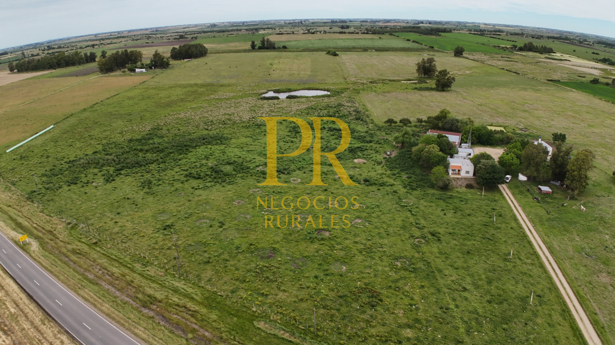 Campo Ref.28 - Campo en San Ramón - Tambo Completo - Casa + Galpones